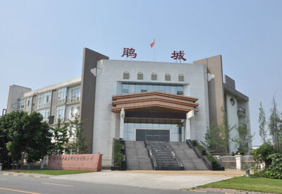 鵑城牌 傳統與創新并蓄，鑄就調味品行業標桿