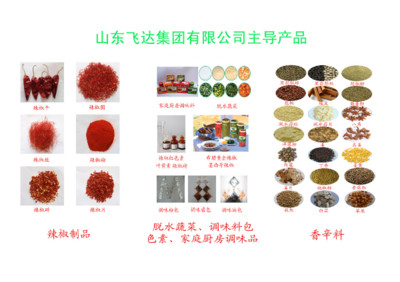 匠心調味，點亮每一餐——全方位解析調味品產品與生產工藝